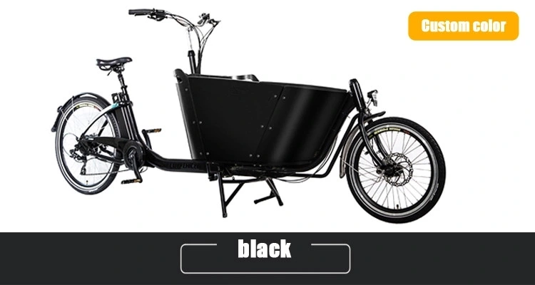 Made in China 250W with CE Certificate Two Wheel Electric Cargo Bike