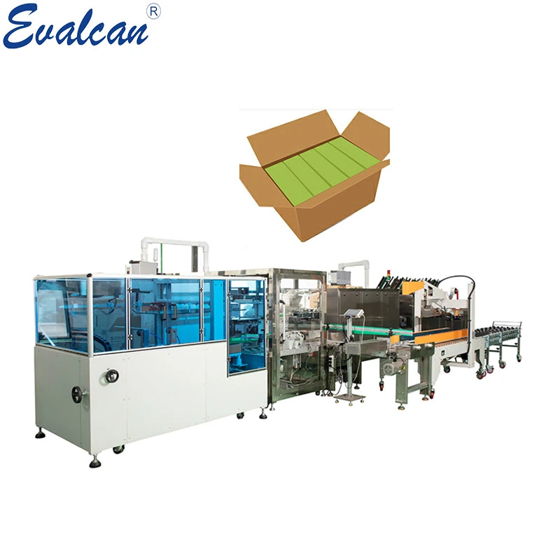 Medical Packing System with Caron Erector and Case Sealer Machine