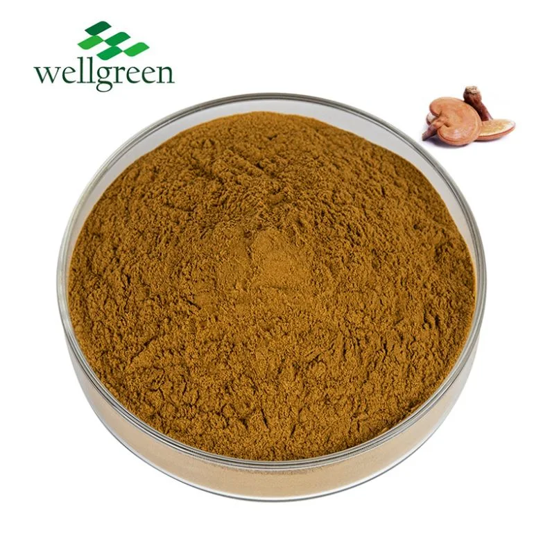 Low Price Dried Raw Organic Lingzhi Ganoderma Lucidum Reishi Mushroom Extract Powder