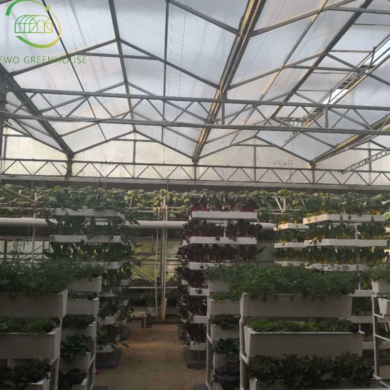 High Yield Greenhouse Dwc Hydroponics Growing System for Vegetable Planting