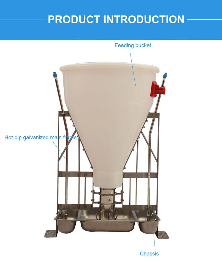 L'usine en acier inoxydable de gros sec et humide auge automatique engraissement semer creux