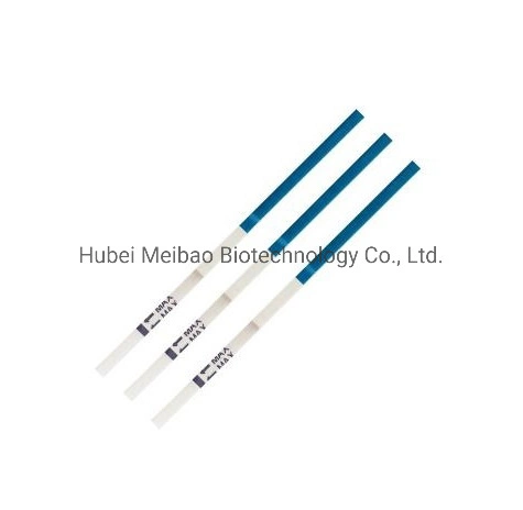 Hepatitis C Virus Poct Disposable Medical Detection Equipment