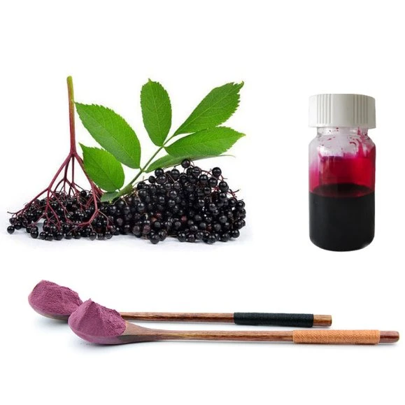 Berry Black Elderberry sabor natural de frutas extracto en polvo con el sistema inmunológico y el antioxidante