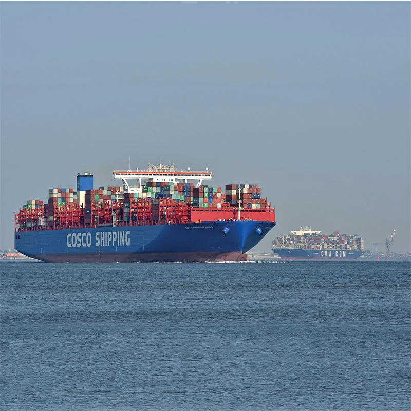 China Shenzhen Sea Shipping Agent, Shipping From China to Aarhus/Copenhagen