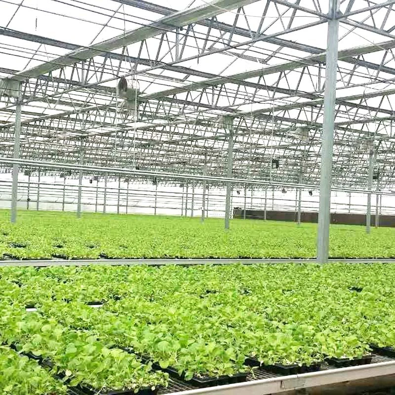 High quality/High cost performance Solar Control Tempered Insulated Glass Single and Multi Cooling Greenhouse Hydroponics System with Accessories