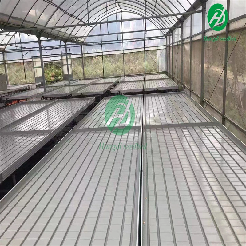 Drip Fertilization System Efficient Tool Seed Greenhouse Rolling Workbench with Hydroponic Tray