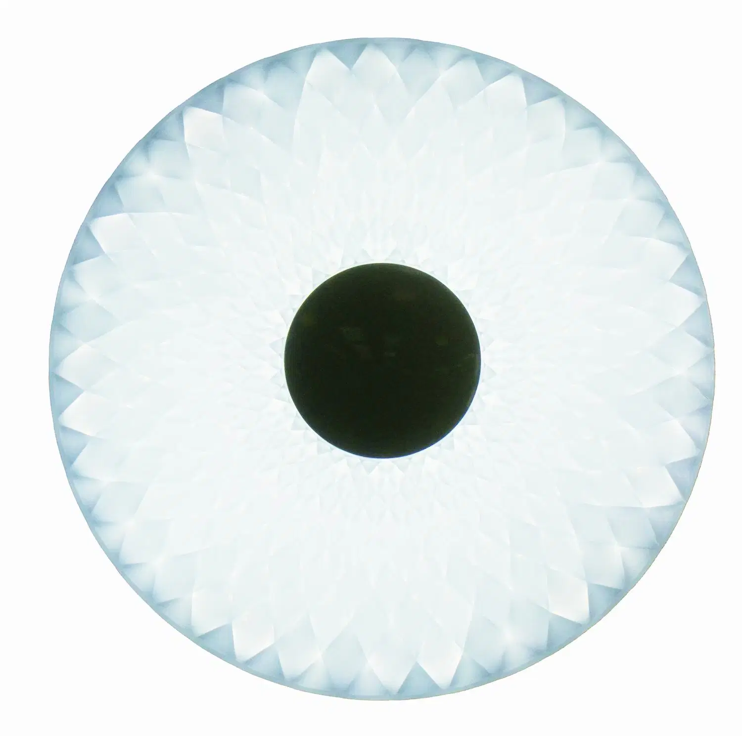 Smart LED Ceiling Light (Flower Type)
