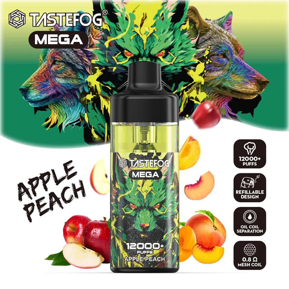 Fabrik Direktverkauf Tastefog Mega Puffs 12K E Zigarettenschachtel 12000 Einmal-Vape Pen