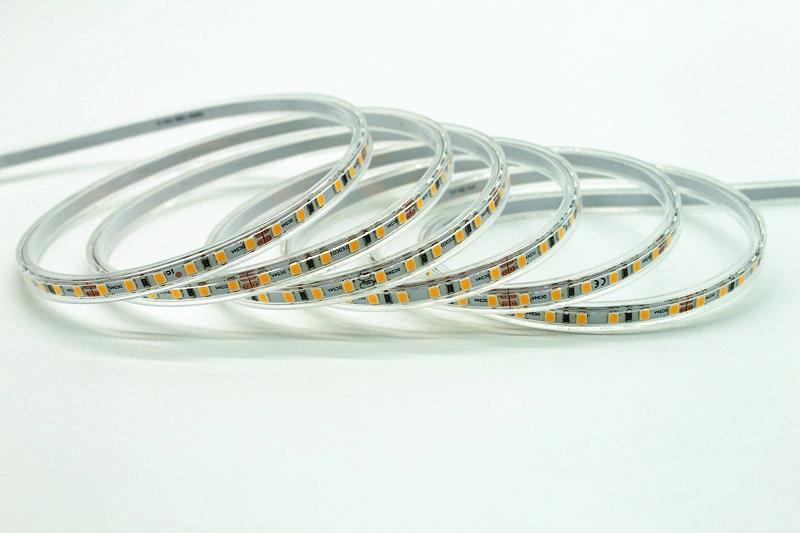 Indoor strip lamp DC12v 120 leds per meter 5mm 2835 smd led strip light