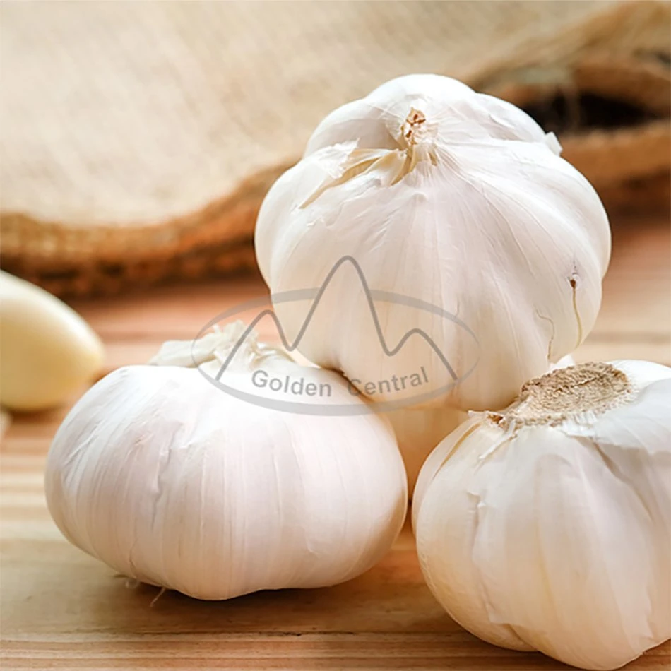 High Grade Fresh Garlic/Normal White Garlic for Sale