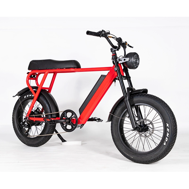 Aluminum Alloy Fat Tire Electric Bike 500W Motor 20ah Lithium Battery