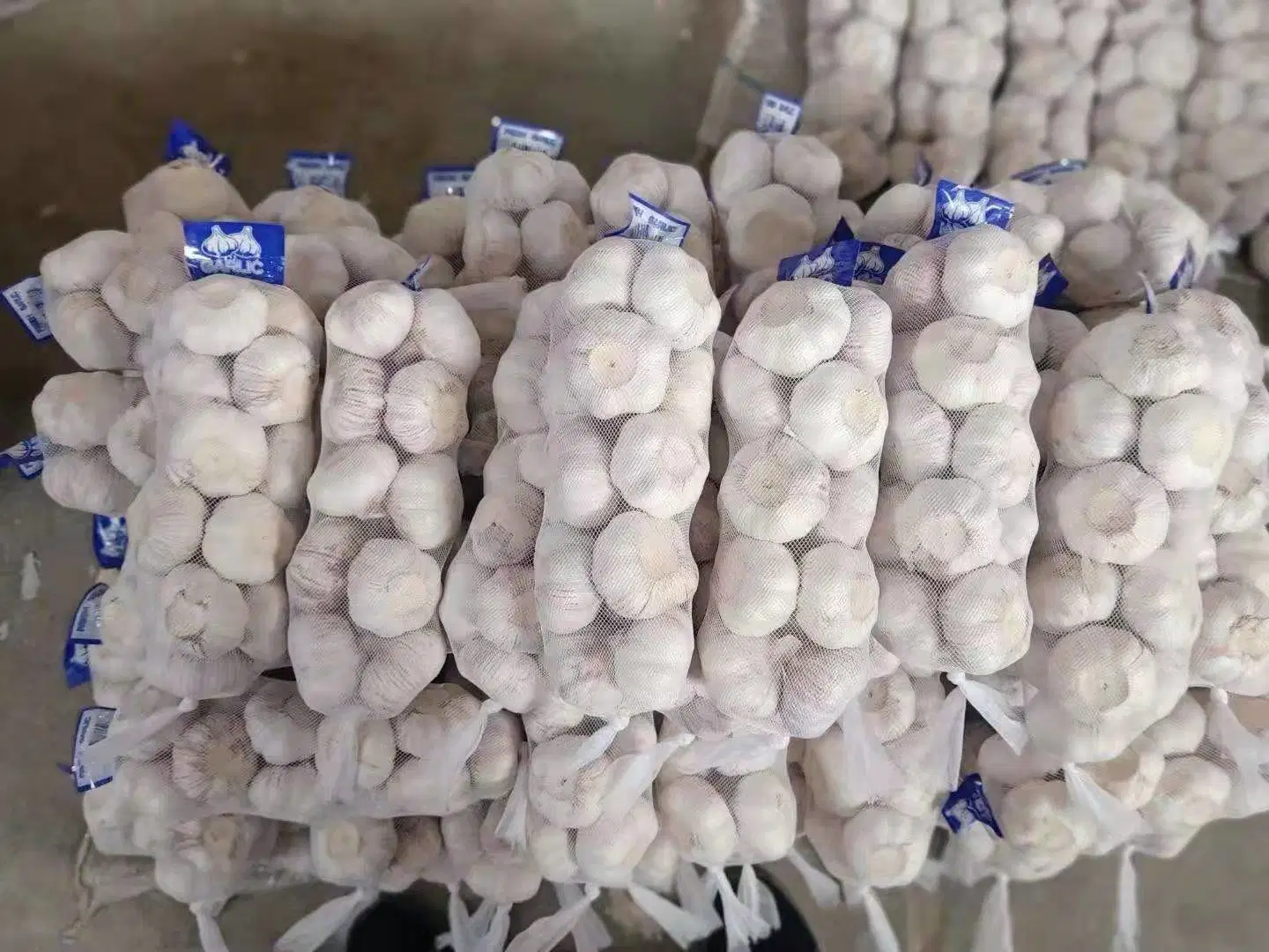 Normaler reiner weißer Knoblauch aus China mit Beutel / Karton Verpackung