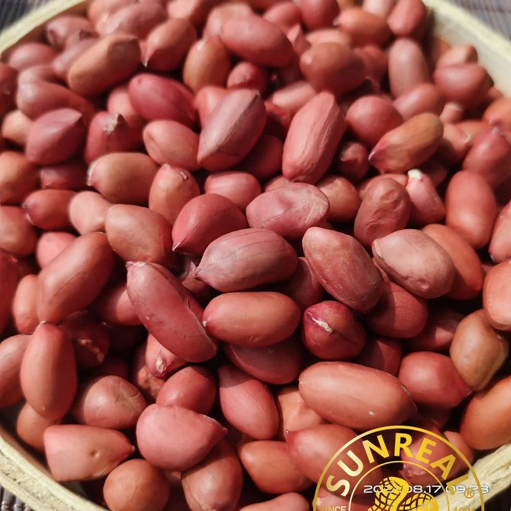 Raw Peanut Kernels/Red Skin/Superior Quality/Multipurpose/Pukee Foods/Sunreal