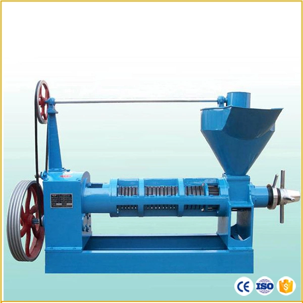 Screw Type Vegetable Seeds Oil Presser Cold Press Oil Machine