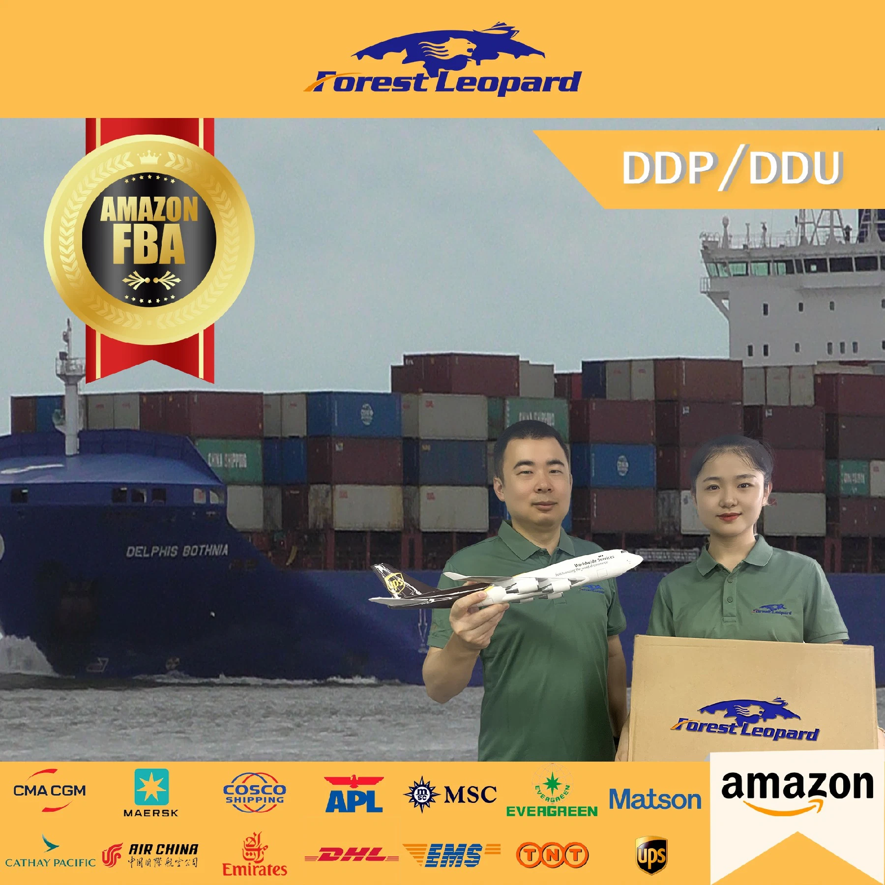 Cheap Door to Door Sea Freight Shipping Service Rate Form China to USA/UK/France