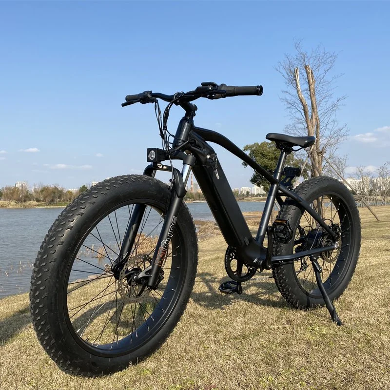 Верхней части бассейна реки Амазонки продажа 750 Вт мощного жир шины велосипеда с электроприводом
