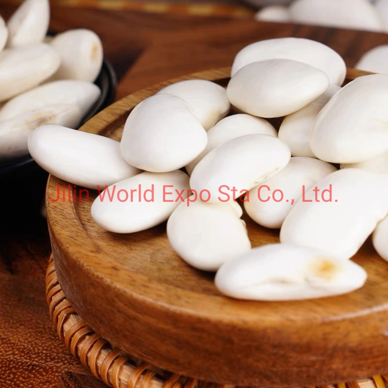 High quality/High cost performance Dried White Kidney Beans 200-230 From Factory