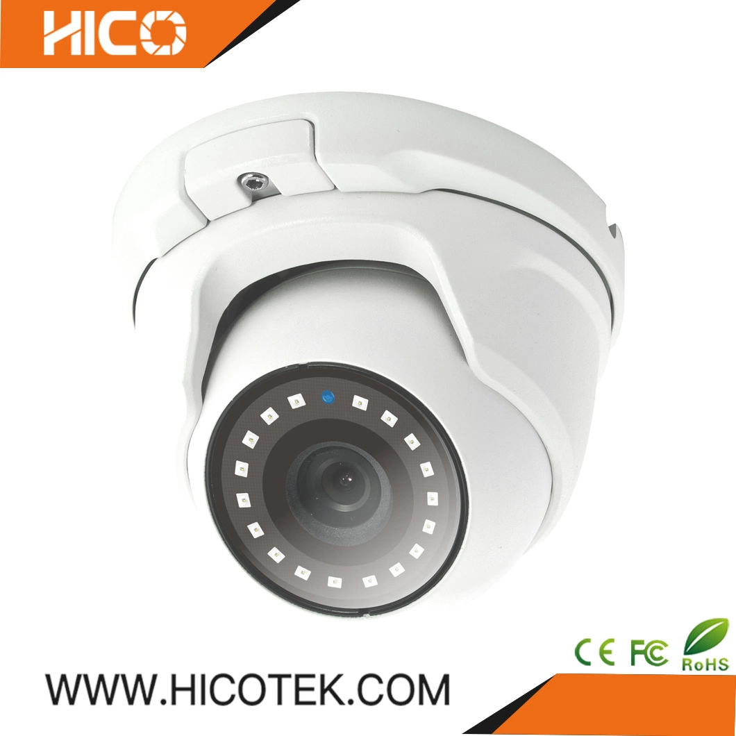 5MP Wide Angle Lens Car Fixed Dome Network CCTV Camera