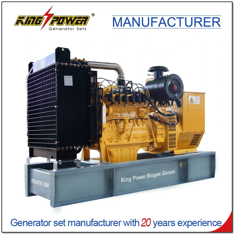 Professional Supplier of 7*24 Hours 150kw Open Silent Natural Gas Biogas CNG LNG LPG Generator