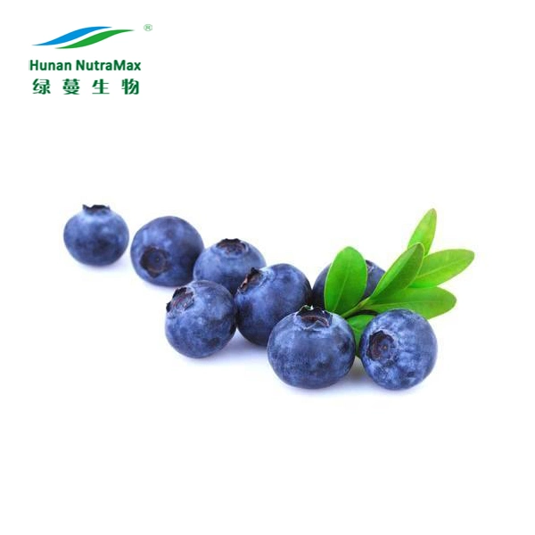 Extrait de fruits biologiques de la poudre de Blueberry extrait 5%-95% Anthocyanidins anthocyanes