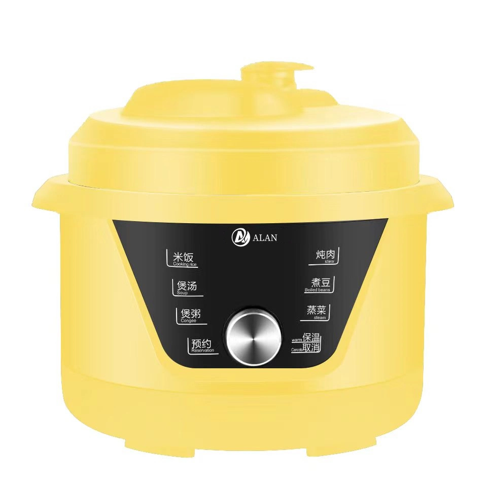 Full Plastic Housing 5L/6L Private Model Round Shape Electric Pressure Cookers with a Handle