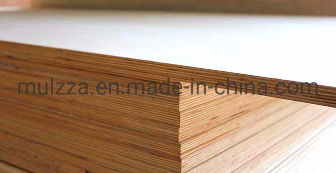 High Quality Decorative Panel Plywood for Building Material