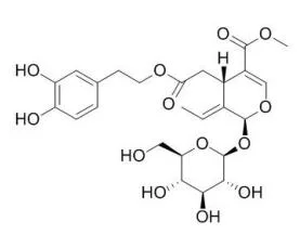 ISO Certified Reference Material 98%	Oleuropein 32619-42-4 Standard Reagent