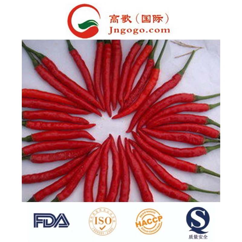 New Crop Chaotian Chili (3-5cm)