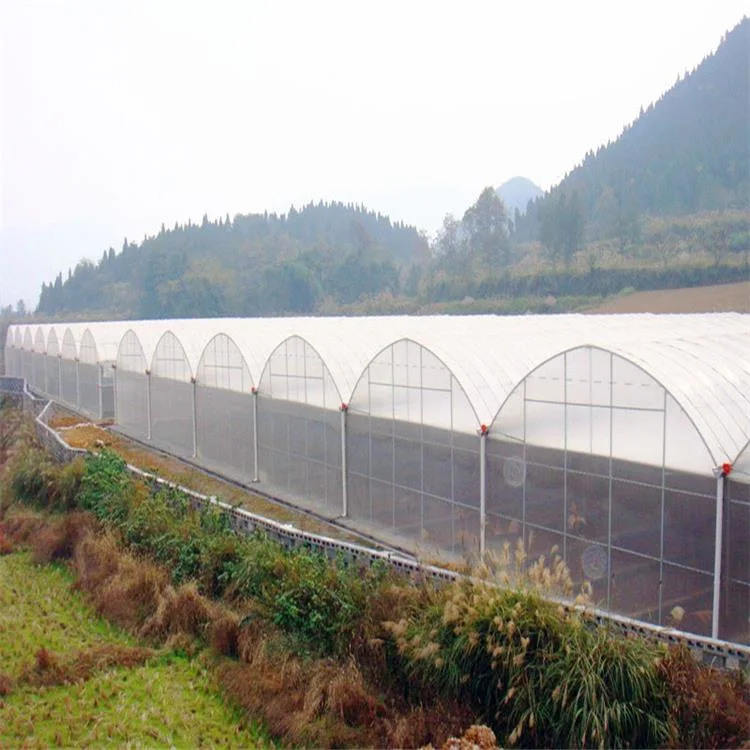 Túnel de filme plástico de polietileno Multi-Span Estufas com sistema de hidroponia Green House para venda Pepino/Tomate/Pimenta/Mosto/Morango/alfaces de estufa da Agricultura
