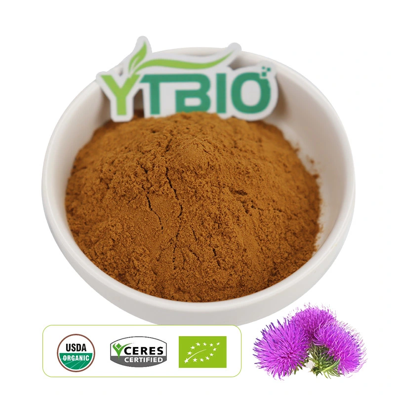 Leche semilla de Thistle Extracto seco polvo Silymarin UV 80% planta Extracto de Silymarin polvo