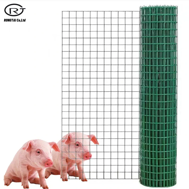 Holland Wire Mesh / Farm Garden Chicken Fence Mesh