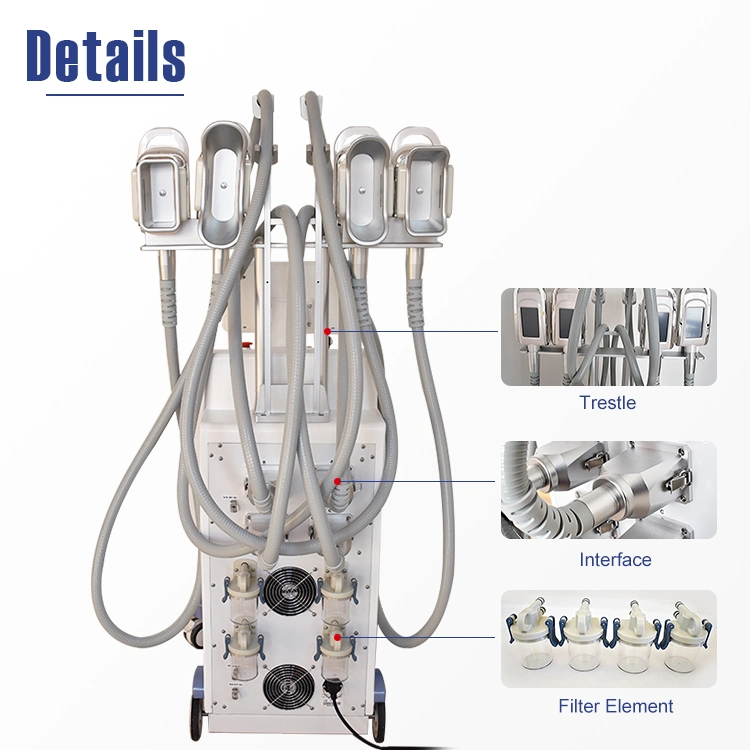 4 asas para adelgazar la grasa de congelación de la lipólisis Frío criogénico de 360 grados de la máquina