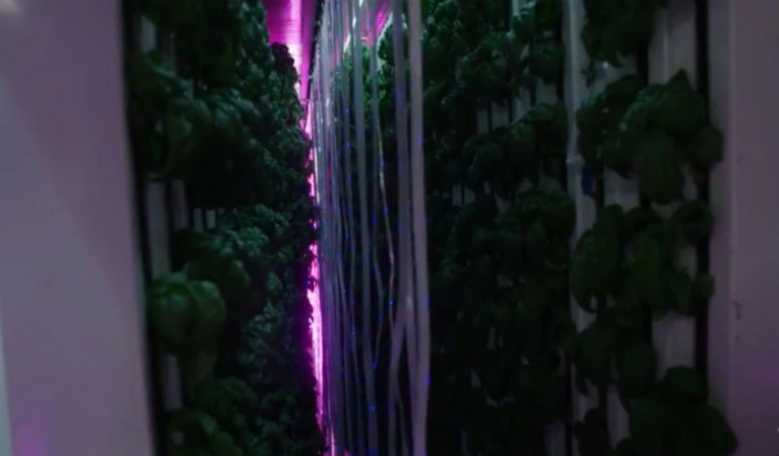 Indoor Cultivation for Nft Hydroponics System/Hydroponics System for Vertical Farm