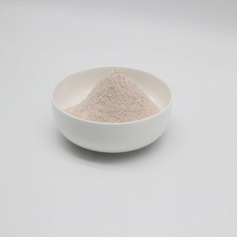 Super Quality Feed Additive Clostridium Butyricum Probiotics Powder for Animal