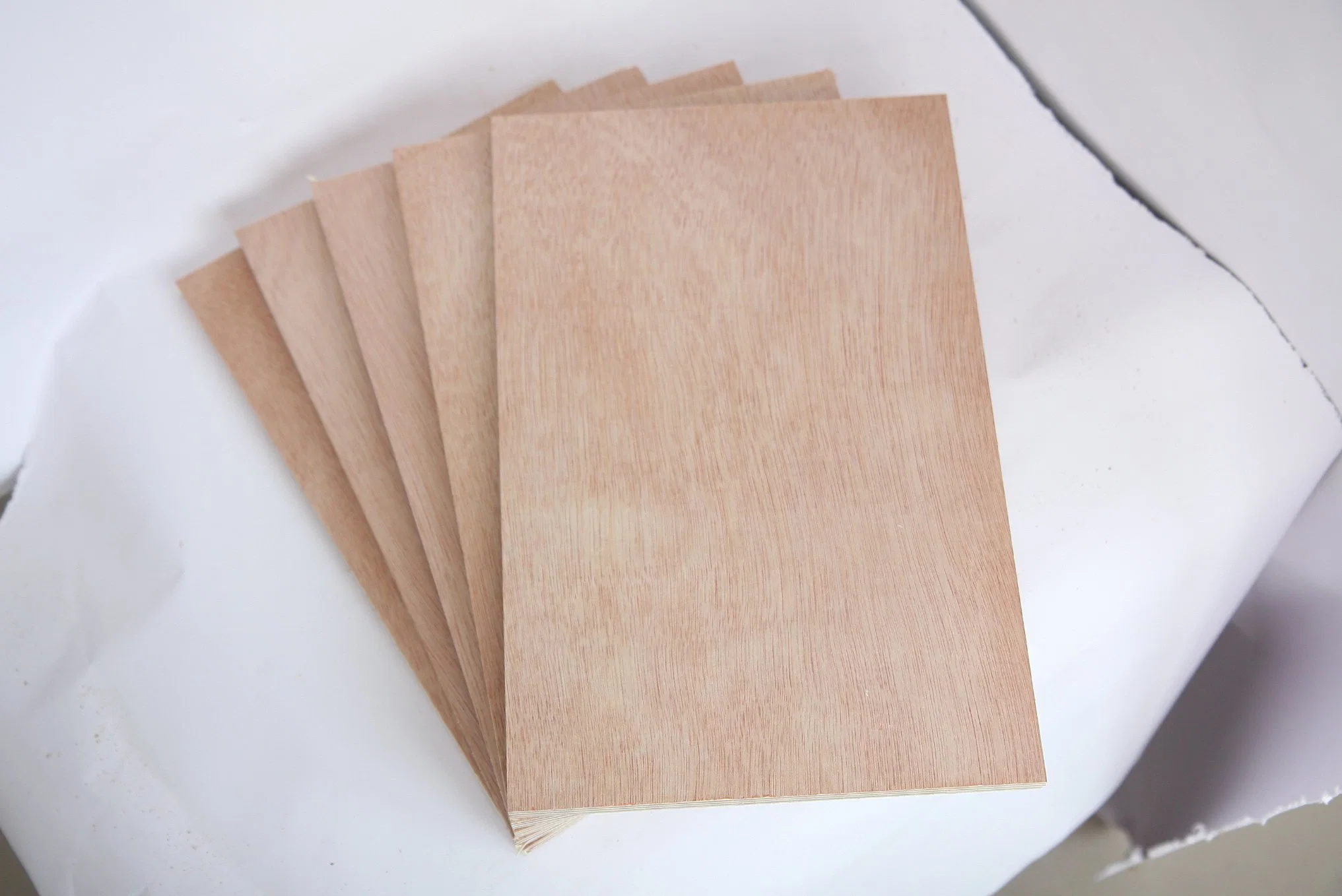 1220*2440/1250*2500mm Poplar Core Plywood, Commercial Plywood, Veneer Faced Plywood for Furniture