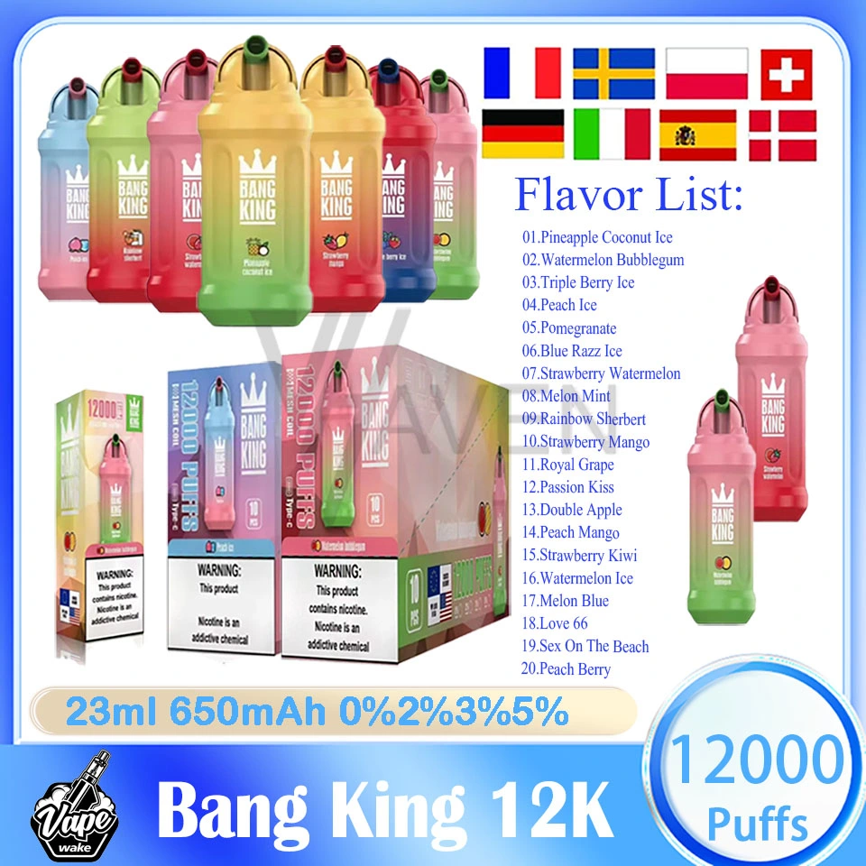 E-cigarette jetable Vipe stylo vaporisateur Bang King 12000 Poux Avec 20 arômes de liquide pré-rempli