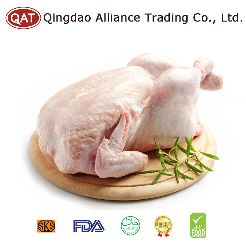 High Quality China Frozen Whole Chicken by Hand Slaughter with Halal Certificate