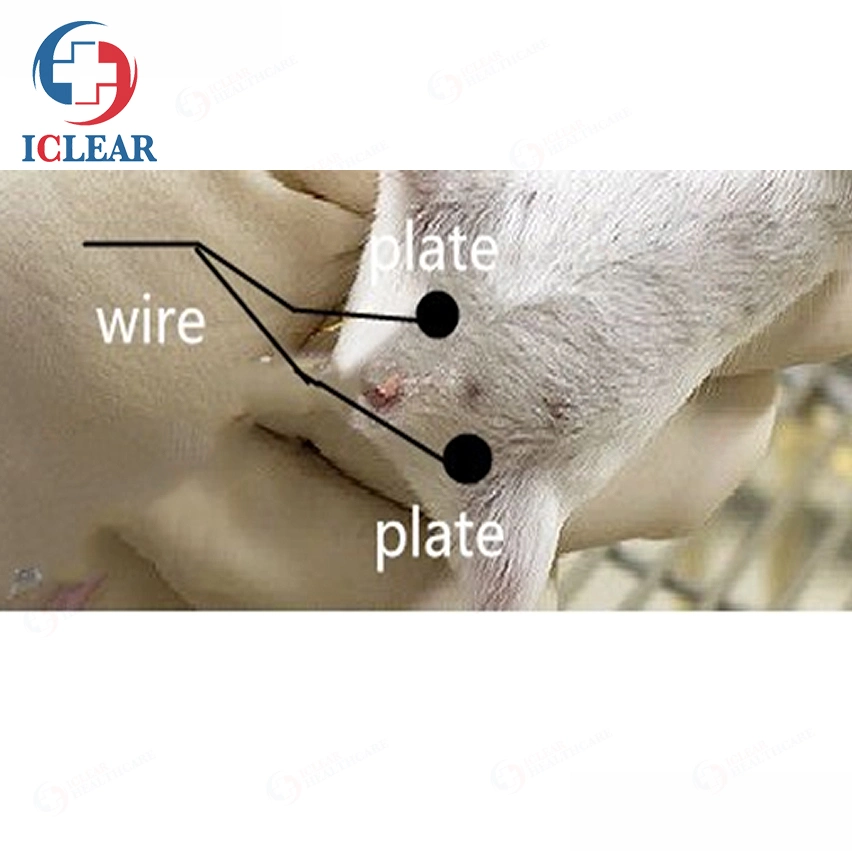 Équipement de l'élevage des animaux Vétérinaire Portable La stimulation électrique du sperme Collecteur de sperme