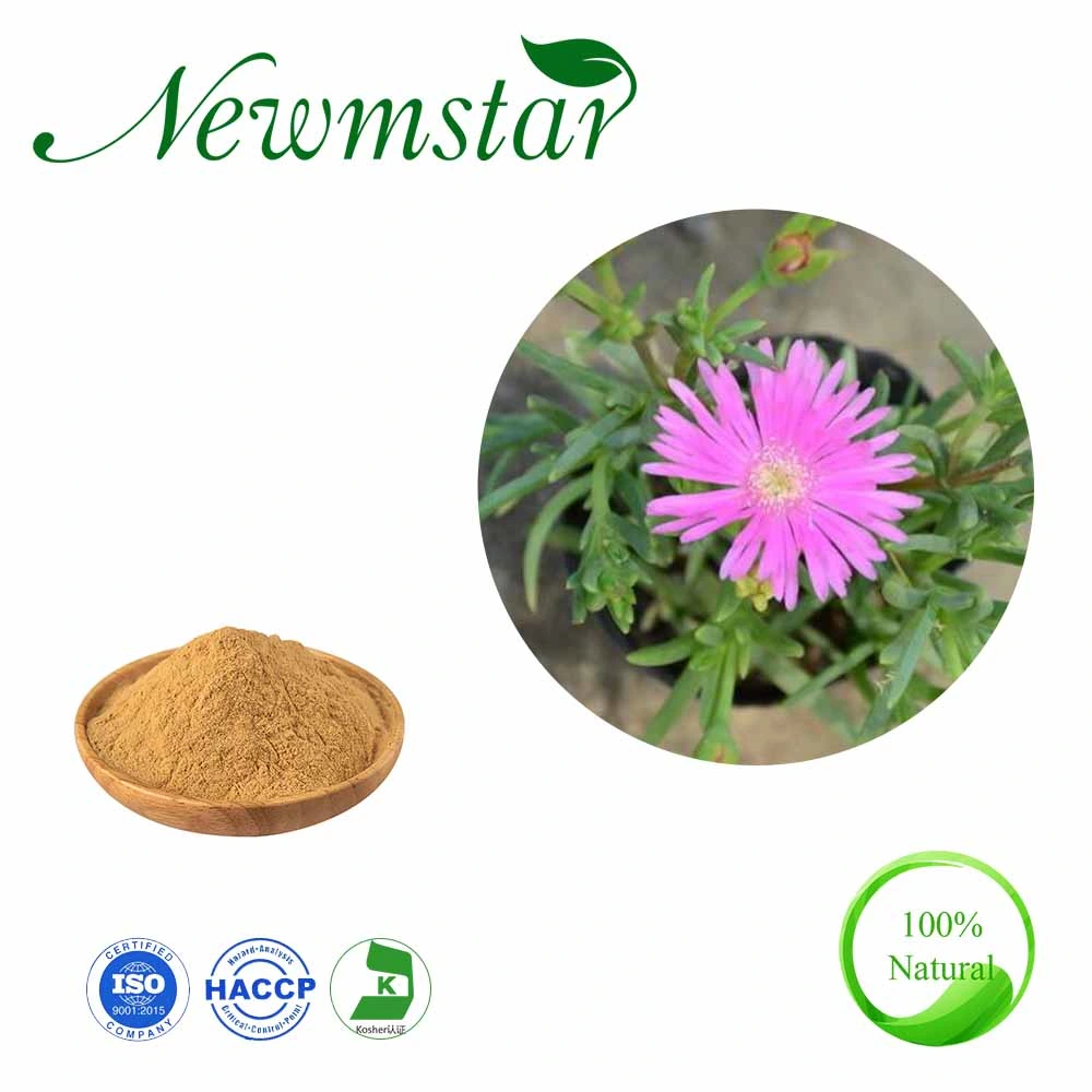 Natural Chinese Herb with Competitive Price Kanna Extract