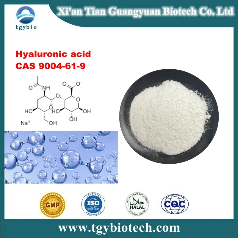Factory Supply Good Price Hyaluronic Acid Powder CAS 9004-61-9 Hyaluronic Acid