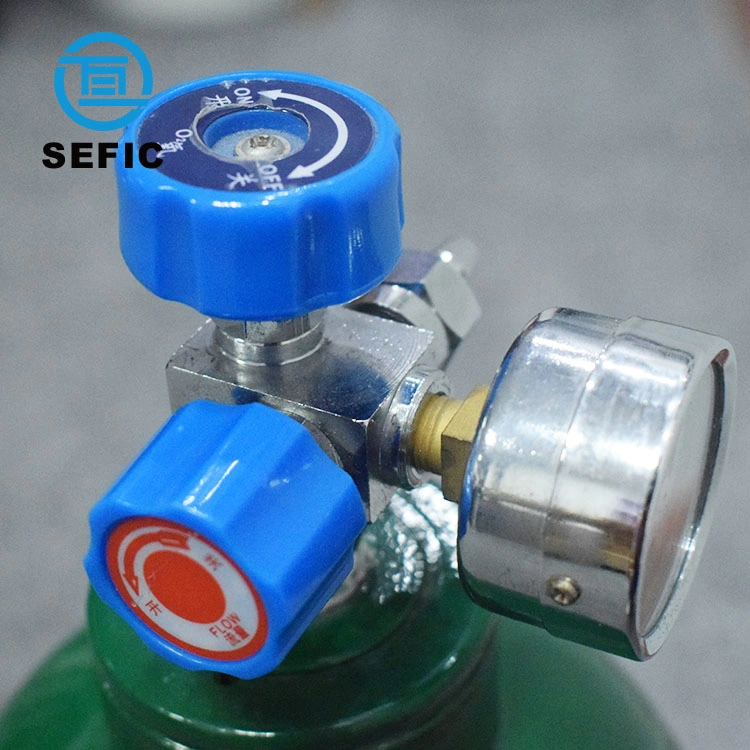 Carton Packing Gas Sefic CE/Tped/DOT Shanghai, China (Mainland) &amp; Quot; Harbor Freight&amp; Quot; Safety Regulator