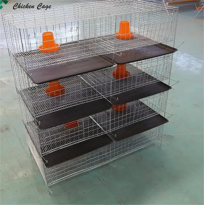 Low Price Wire Mesh Steel Automatic H Type 3 4 5 Tiers Chicken Pullet Breeding Cage for Baby Chicks