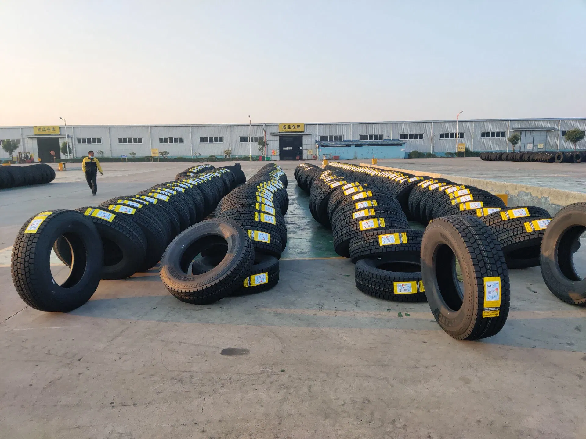 Constancy/Carleo Tires 315/70r22.5 Popular Truck Tires in Ukraine/Russia