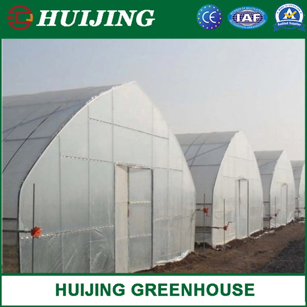 Professional Single Tunnel Plastic Film Covered Greenhouses for Breeding/Beans