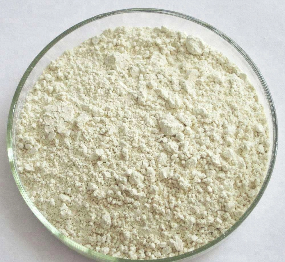 Best eu organic green onion powder prices