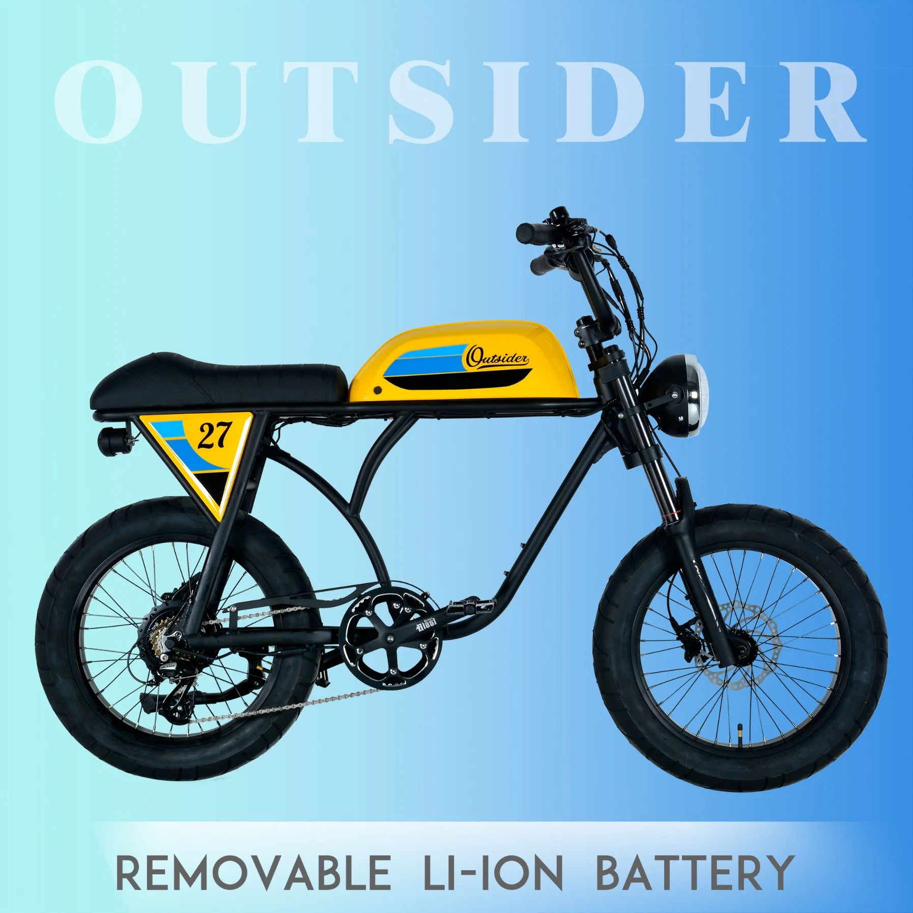 China Ebike de alta calidad con CE/CEE motocicleta eléctrica con 36V de litio batería extraíble Bicicleta eléctrica