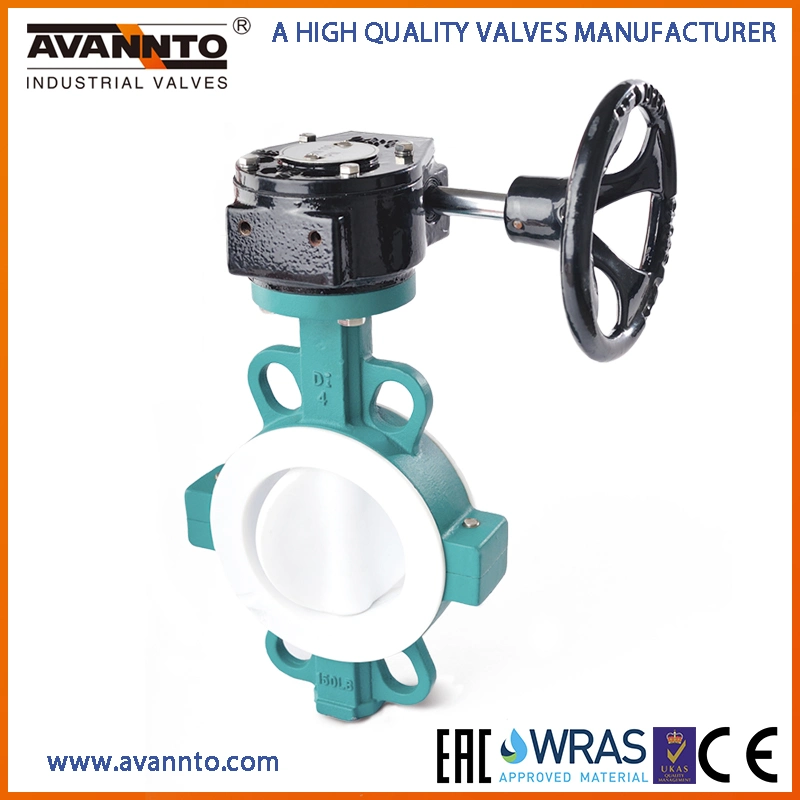 OEM/ODM Butterfly Valve Gate Valve Check Valve Y Strainer with API ANSI DIN JIS BS Standard Control