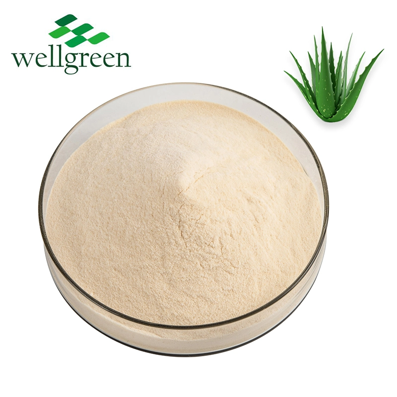 Free Sample Factory Pirce Available 100X 200X 50: 1 100: 1 200: 1 Aloe Vera Gel Freeze Drized Powder