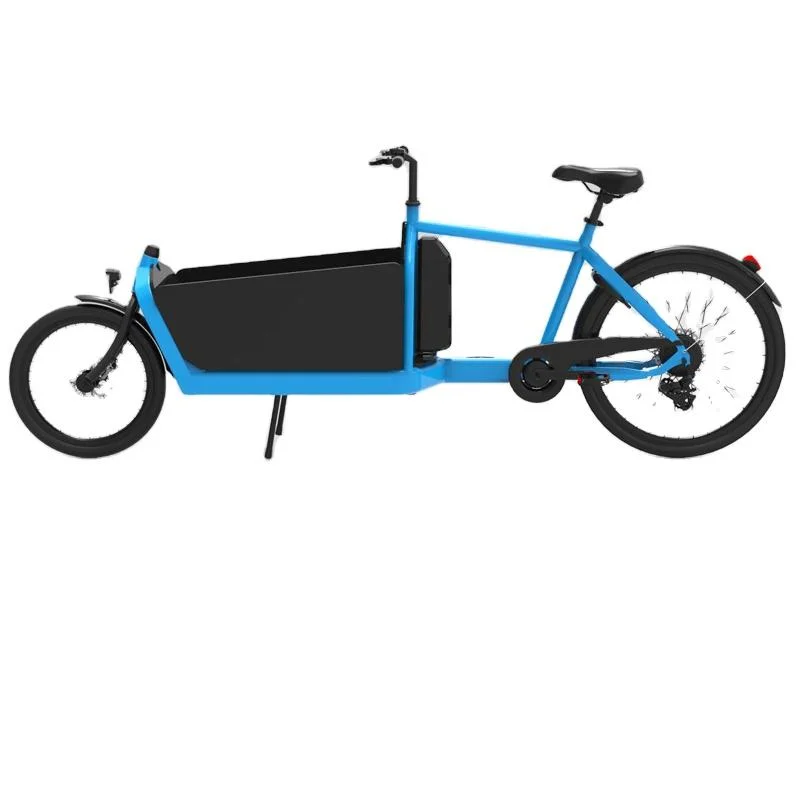 250W Nabenmotor Elektrisches Fahrrad Pedal 2 Rad Bakfiets 7 Speed Steel Bike Rahmen Dutch Cargo Bike mit für Kind