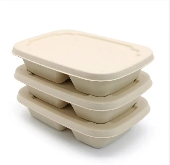 500ml Compostable Bagasse Take out Eco Fast Food Packaging Lunch Bento Box